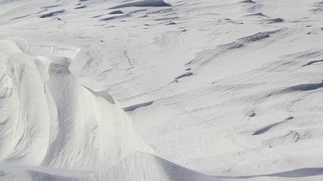 冬季景观自然美:风使雪漂视频素材