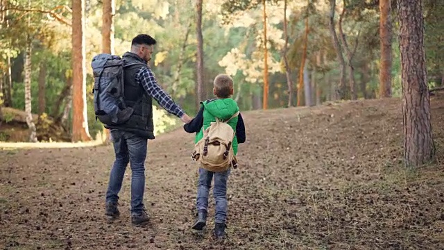 幸福家庭的背影孩子和父亲走在森林里手牵着手说话，男孩正在扔松果。自然、父爱、秋的概念。视频素材