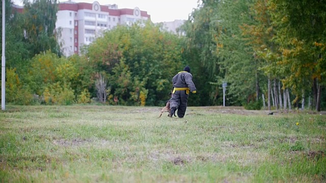 一个穿着防护服的人训练他的牧羊犬攻击。慢动作奔跑视频素材