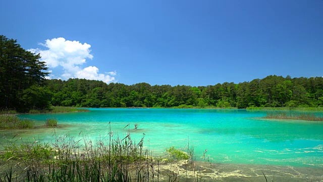 Goshiki-numa，福岛，日本视频素材