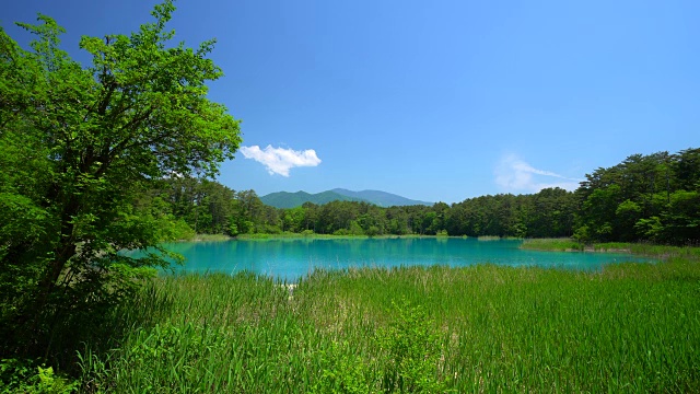 Goshiki-numa，福岛，日本视频素材