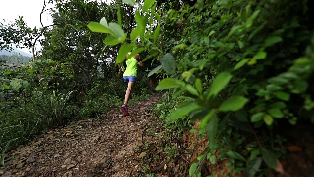 早上在热带森林小道上跑步的女人视频素材