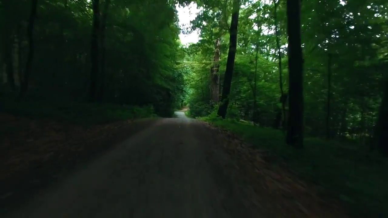 沿着砾石路飞过森林。穿越树林，以大自然为背景视频素材