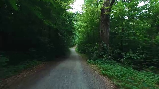 空中飞行，在森林的砾石路。穿越森林，以大自然为背景视频素材