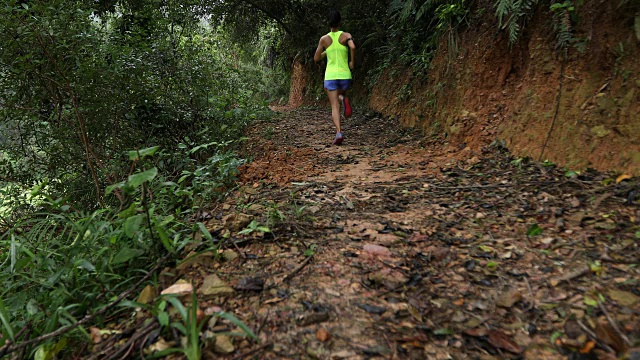 早上在热带森林小道上跑步的女人视频素材