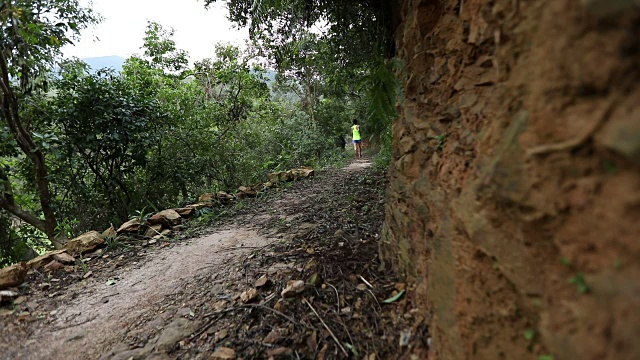 早上在热带森林小道上跑步的女人视频素材