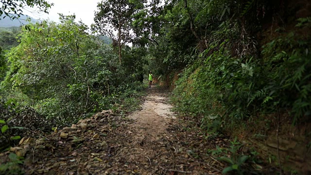 早上在热带森林小道上跑步的女人视频素材