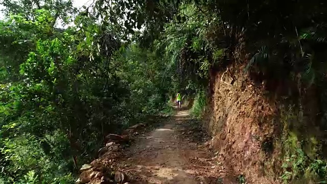 早上在热带森林小道上跑步的女人视频素材