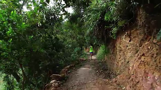 早上在热带森林小道上跑步的女人视频素材