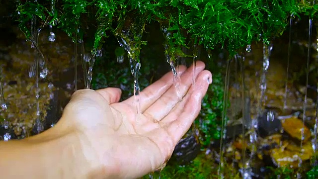 手握水从苔藓视频素材