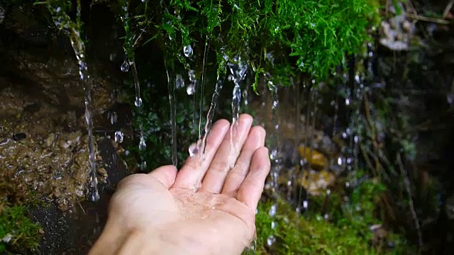 手握水从苔藓视频素材