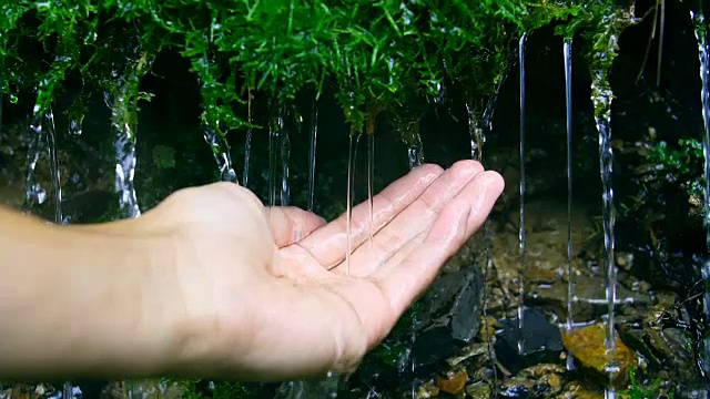 手握水从苔藓视频素材