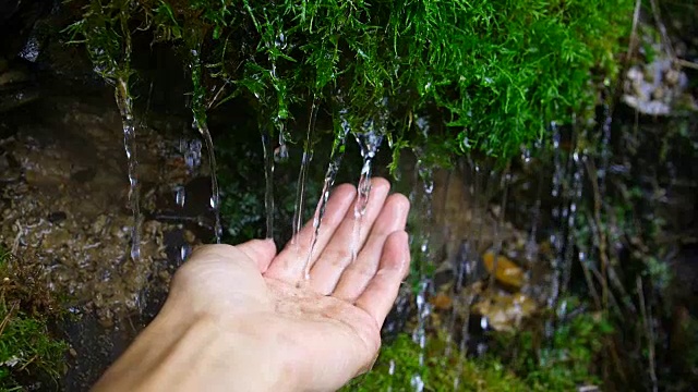 手握水从苔藓视频素材