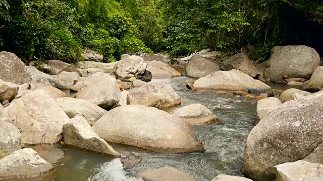 神奇的热带雨林和河流与岩石的风景。野生植被，深热带森林。丛林里的树木和湍急的岩石溪流。蒸汽和石头瀑布流过异国的树林。视频素材