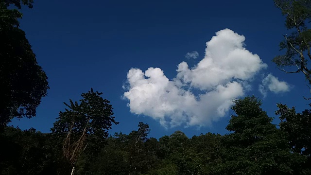 森林上空的天空和云视频素材