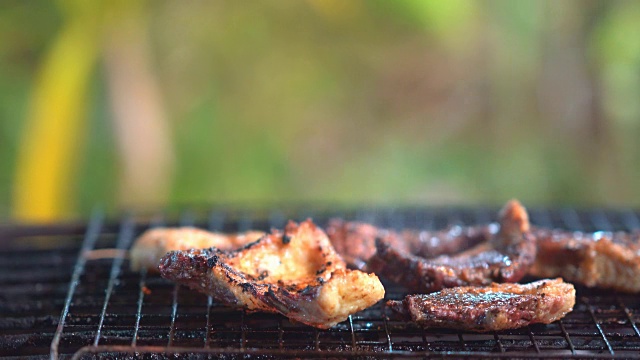 在山上露营时做烤肉。肉在热腾腾的火和火焰上，烟流在上面烤模糊的背景。它美味的食物露营在森林。视频素材