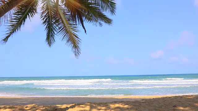 泰国普吉岛素林海滩，美丽的海浪与天空和椰子树。4K视频素材