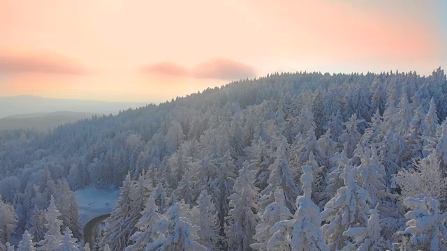 空中特写:无尽的云杉森林覆盖在美丽的冬季日落雪视频素材