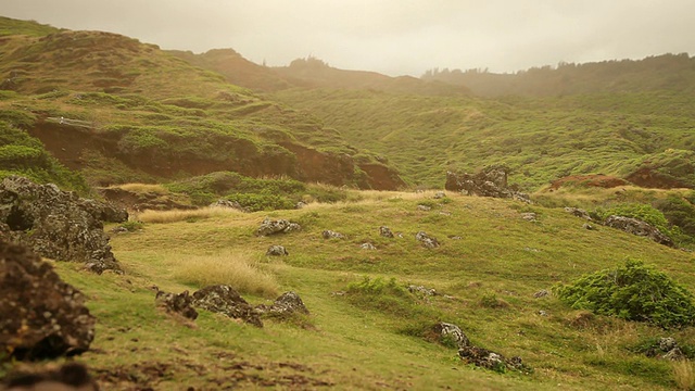 自然标题板块，夏威夷视频素材