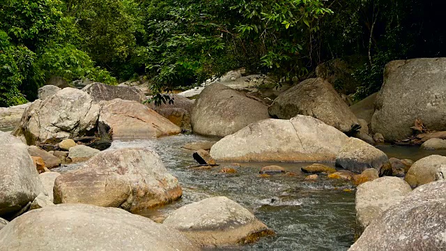 神奇的热带雨林和河流与岩石的风景。野生植被，深热带森林。丛林里的树木和湍急的岩石溪流。蒸汽和石头瀑布流过异国的树林。视频素材