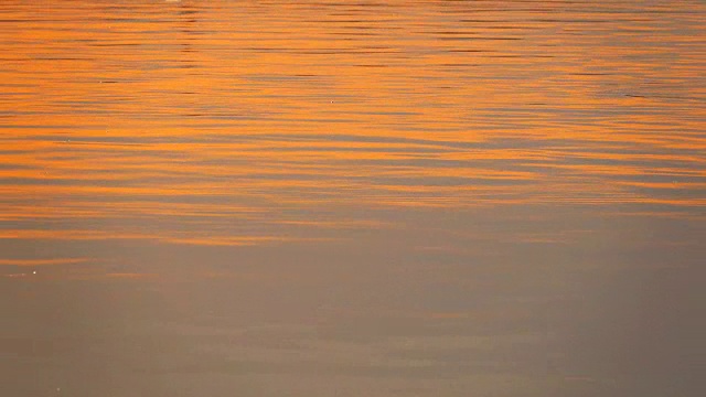 4K:日落时水面视频素材