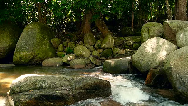 神奇的热带雨林和河流与岩石的风景。野生植被，深热带森林。丛林里的树木和湍急的岩石溪流。蒸汽和石头瀑布流过异国的树林。视频素材