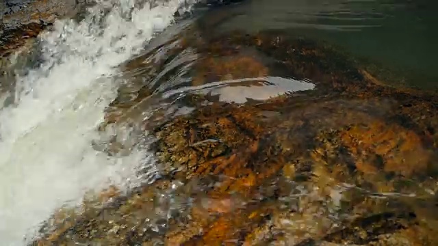 神奇的热带雨林和河流与岩石的风景。野生植被，深热带森林。丛林里的树木和湍急的岩石溪流。蒸汽和石头瀑布流过异国的树林。视频素材