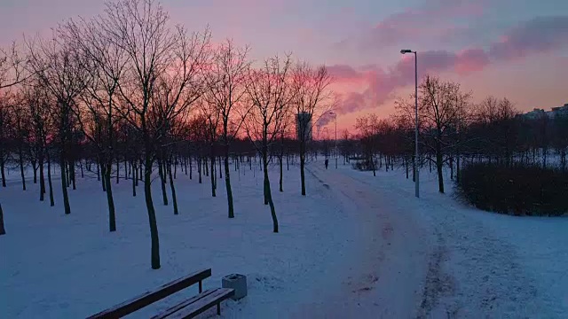 大城市公园上空多层公寓住宅小区的空中全景。下行相机运动视频素材