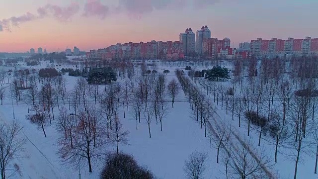 大城市公园上空多层公寓住宅小区的空中全景。下行相机运动视频素材