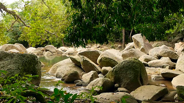 神奇的热带雨林和河流与岩石的风景。野生植被，深热带森林。丛林里的树木和湍急的岩石溪流。蒸汽和石头瀑布流过异国的树林。视频素材