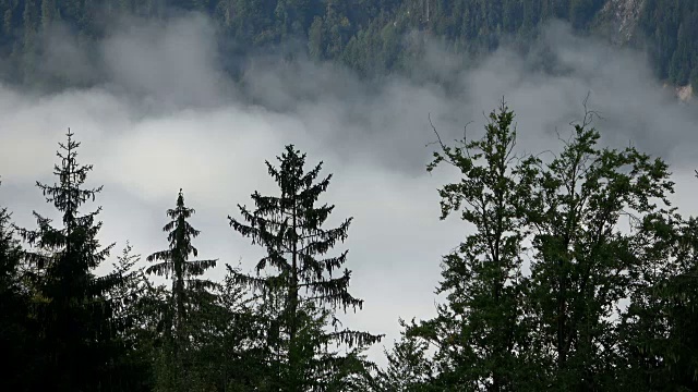 云在山上移动，高山景观，阿尔卑斯山，巴伐利亚，山地森林，时间流逝视频素材