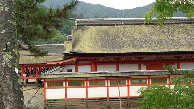 日本，硬岛神社的主要建筑，由木板栈道连接和支柱支撑视频素材