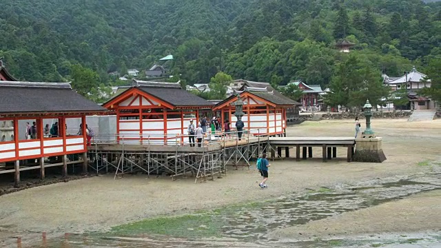 日本，硬岛神社的主要建筑，由木板栈道连接和支柱支撑视频素材