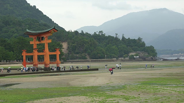 退潮时，人们在严岛神社标志性的浮动鸟居门周围散步视频素材