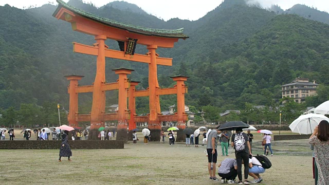 退潮时，人们在严岛神社标志性的浮动鸟居门周围散步视频素材