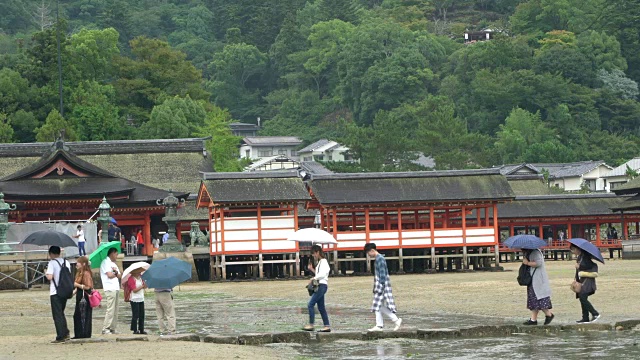 退潮时，人们在严岛神社标志性的浮动鸟居门周围散步视频素材