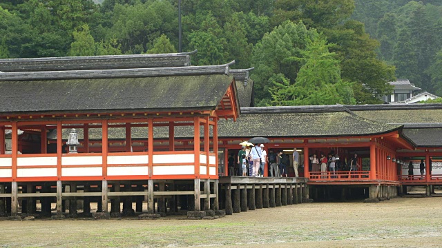 日本，硬岛神社的主要建筑，由木板栈道连接和支柱支撑视频素材