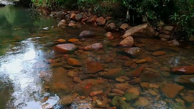 森林，雨林，快速，反射，河流视频素材