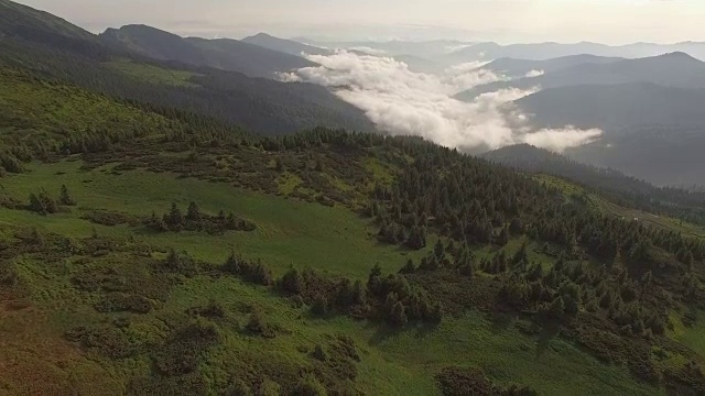 飞过树木繁茂的山丘和山谷视频素材