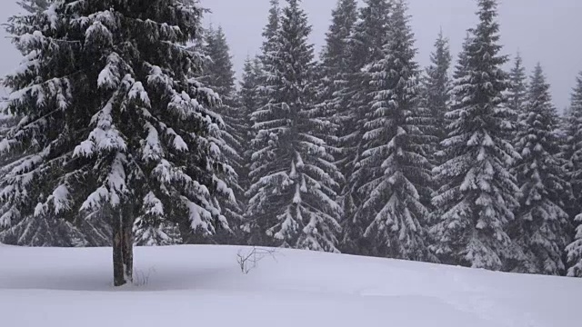 山上下雪了视频素材