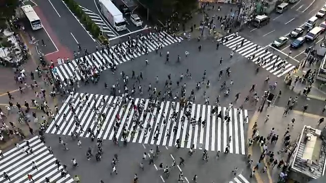 东京市中心的涩谷十字路口视频素材