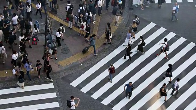 东京市中心的涩谷十字路口视频素材