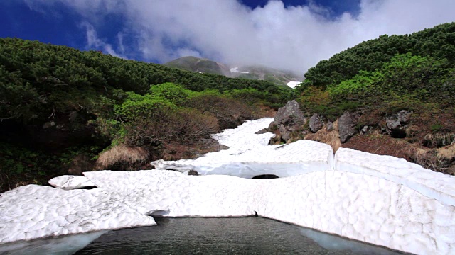 雲が湧く乗鞍岳の位ヶ原の新緑と残雪视频素材