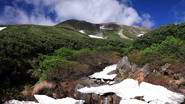 雲が湧く乗鞍岳の位ヶ原の新緑と残雪视频素材