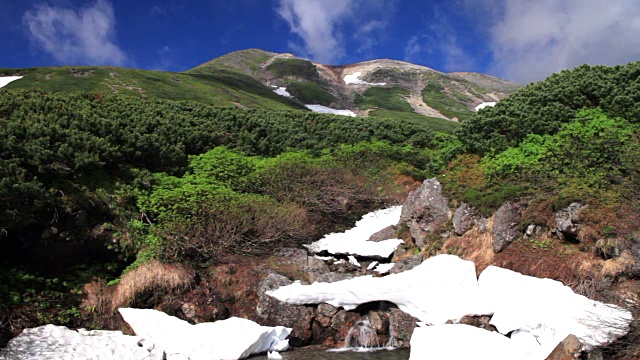 雲が湧く乗鞍岳の位ヶ原の新緑と残雪视频素材