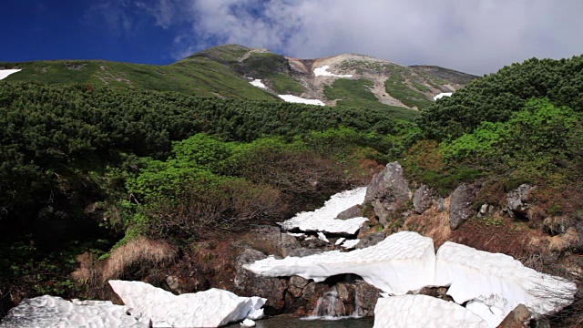 雲が湧く乗鞍岳の位ヶ原の新緑と残雪视频素材