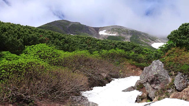 雲が湧く乗鞍岳の位ヶ原の新緑と残雪视频素材