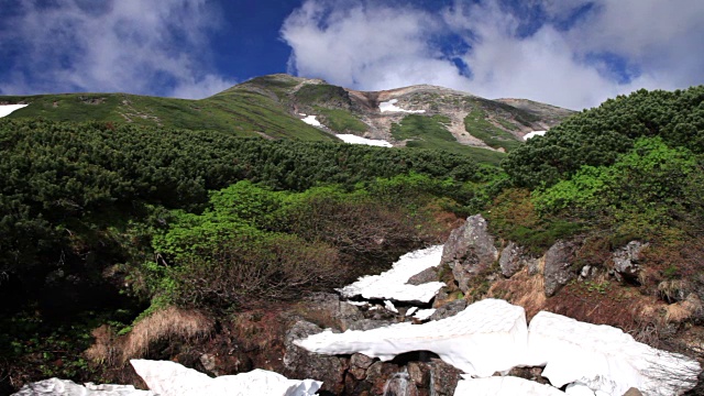 雲が湧く乗鞍岳の位ヶ原の新緑と残雪视频素材