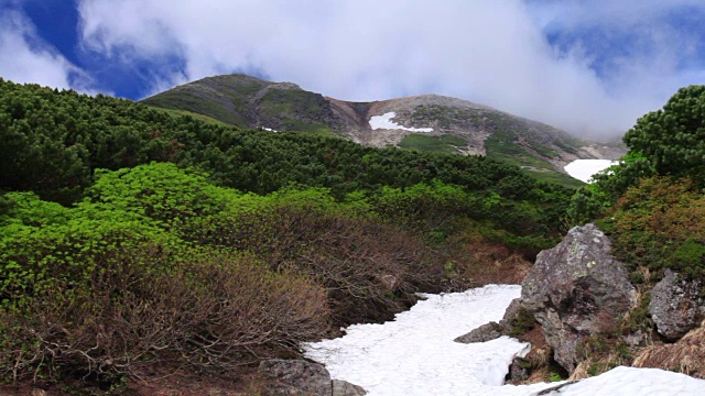 雲が湧く乗鞍岳の位ヶ原の新緑と残雪视频素材