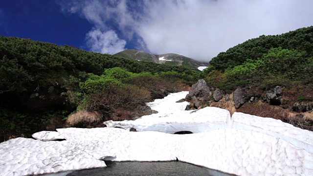 雲が湧く乗鞍岳の位ヶ原の新緑と残雪视频素材